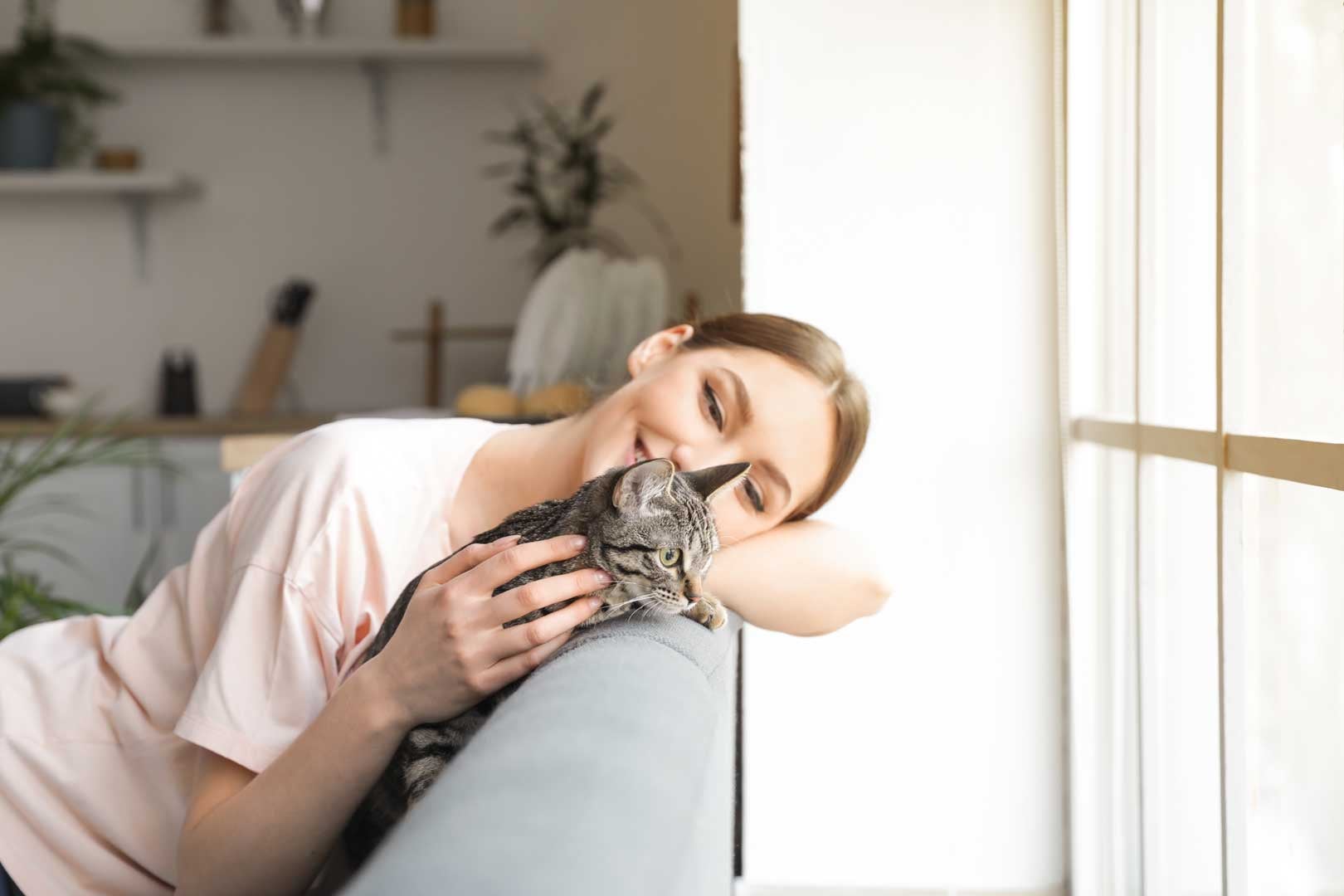 Adopción de gatos: ¿cómo preparar tu hogar para un gatito nuevo?