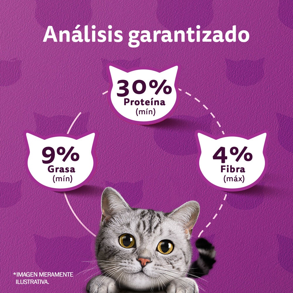 Whiskas® Alimento Seco para Gatos Pollo - 6