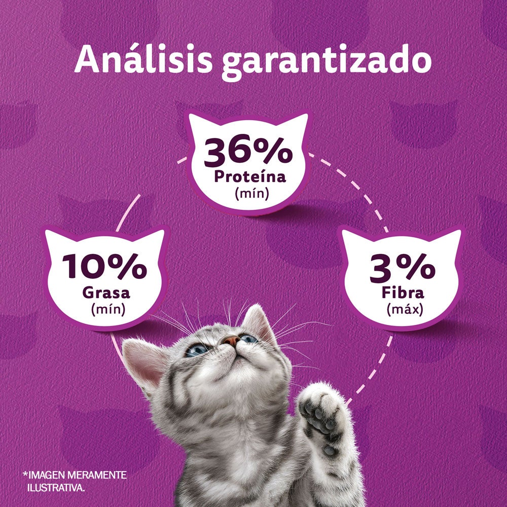 Whiskas® Alimento Seco para Gatitos Carne - 6