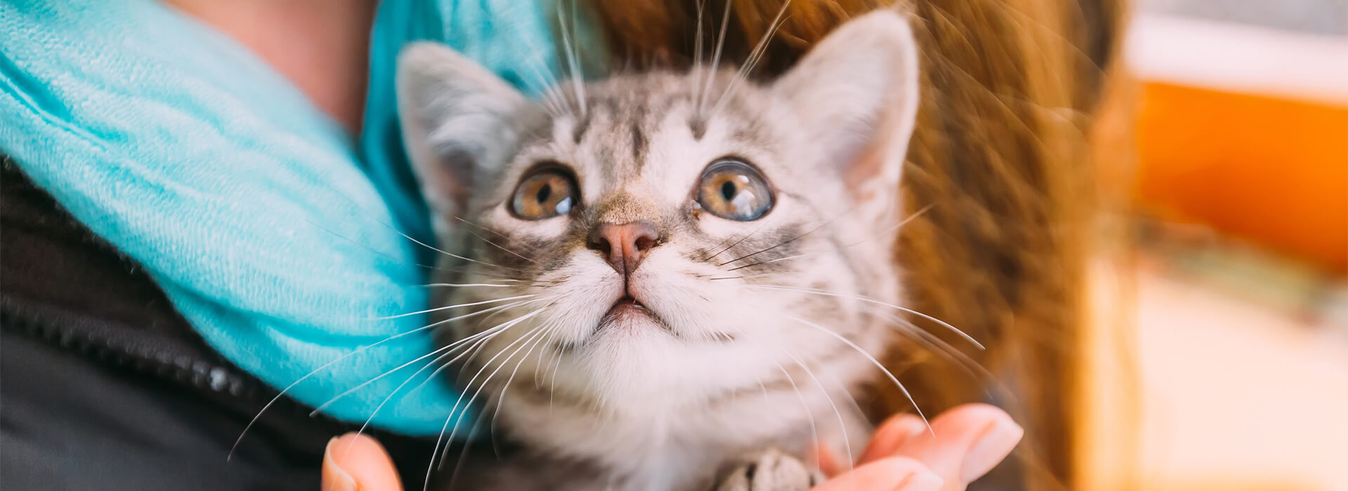 Tips y trucos Desktop