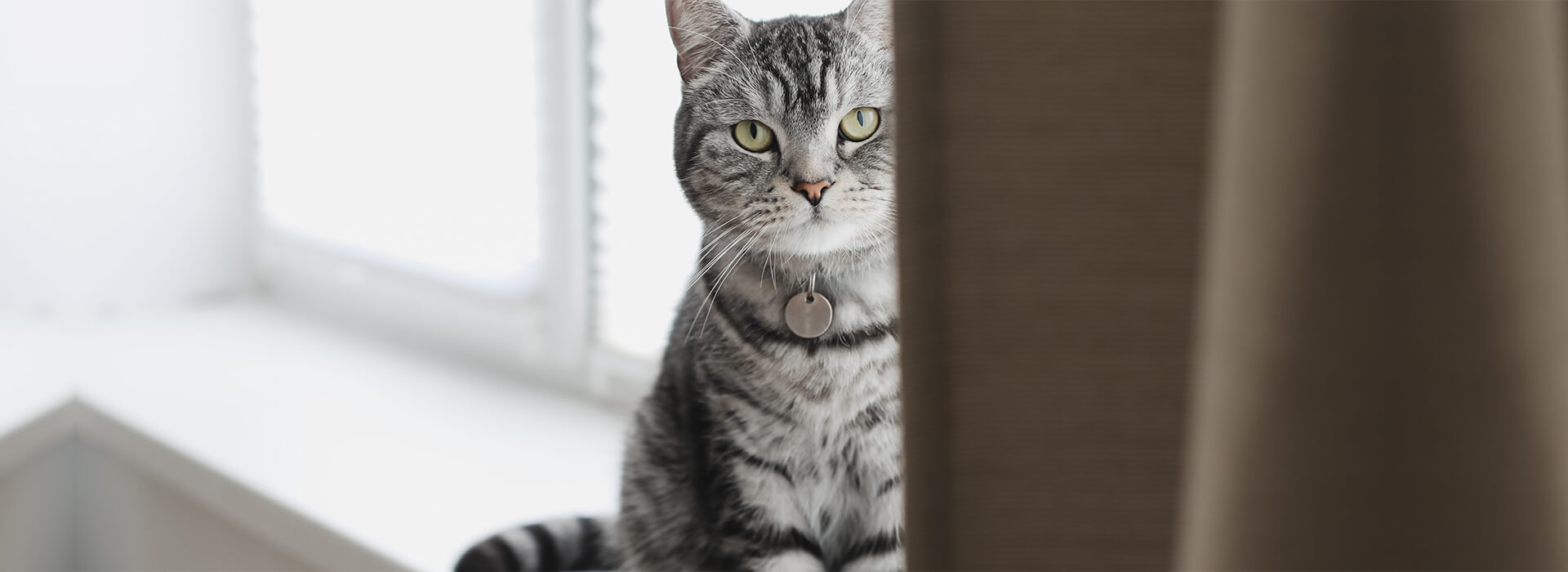 Artículos Default Desktop