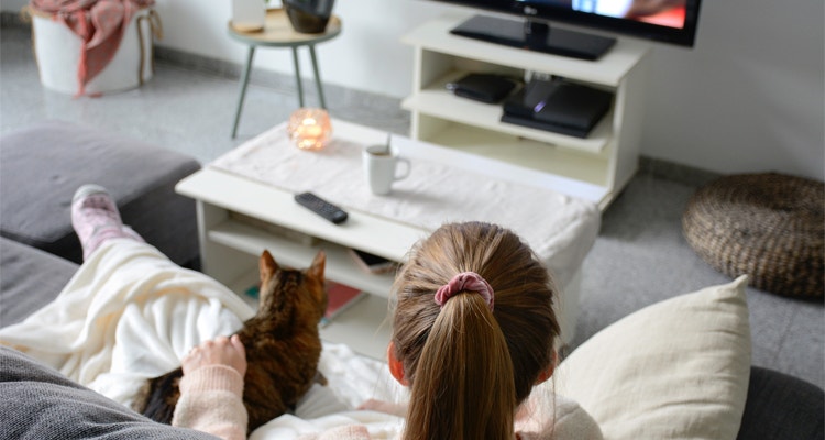 ¿Cuáles son los cuidados de un gato si vivo en un departamento?