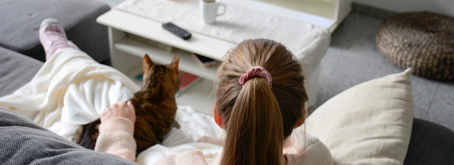 ¿Cuáles son los cuidados de un gato si vivo en un departamento?