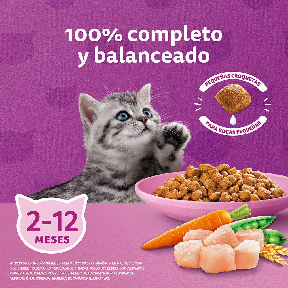 Whiskas® Alimento Seco para Gatitos Pollo - 4
