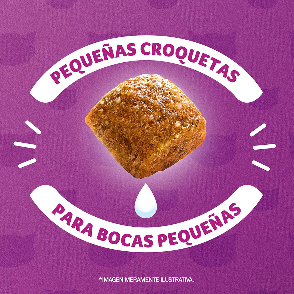 Whiskas® Alimento Seco para Gatitos Pollo - 5