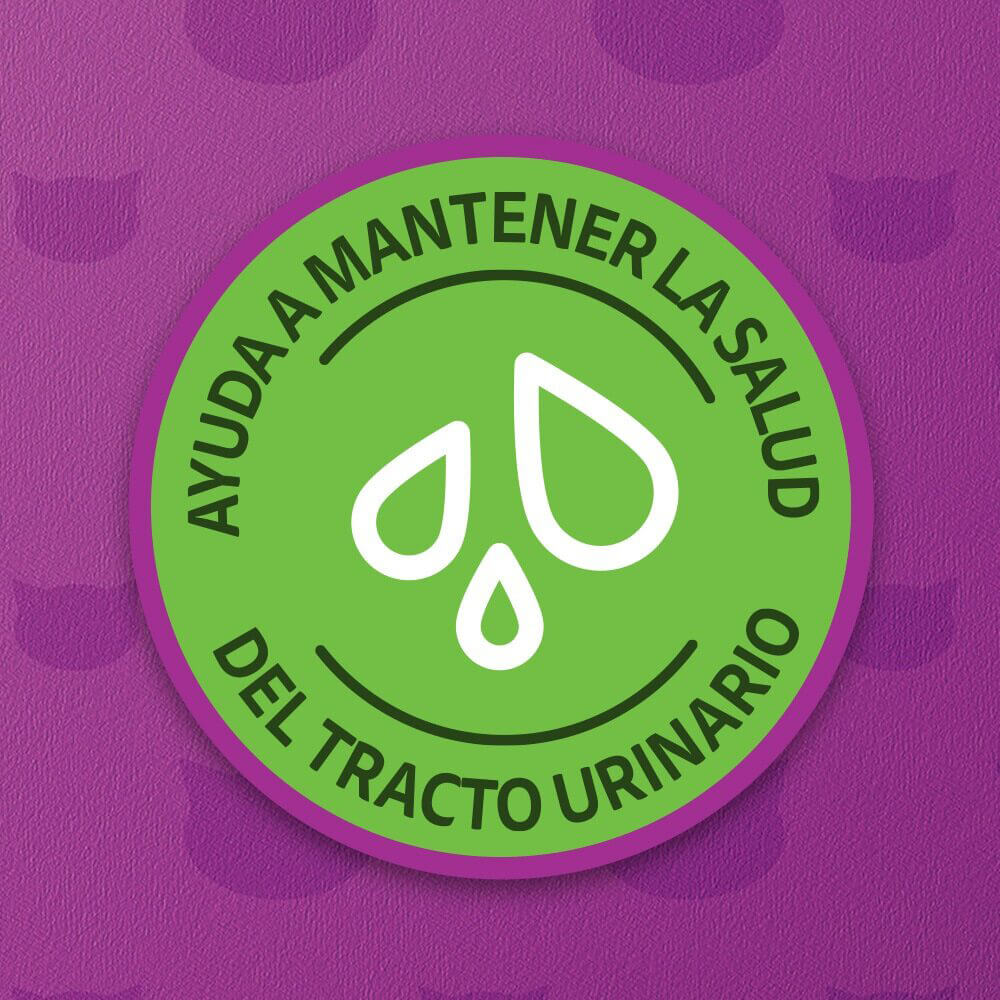 Whiskas® Alimento Húmedo para Gatos Atún Paté en Lata - 2