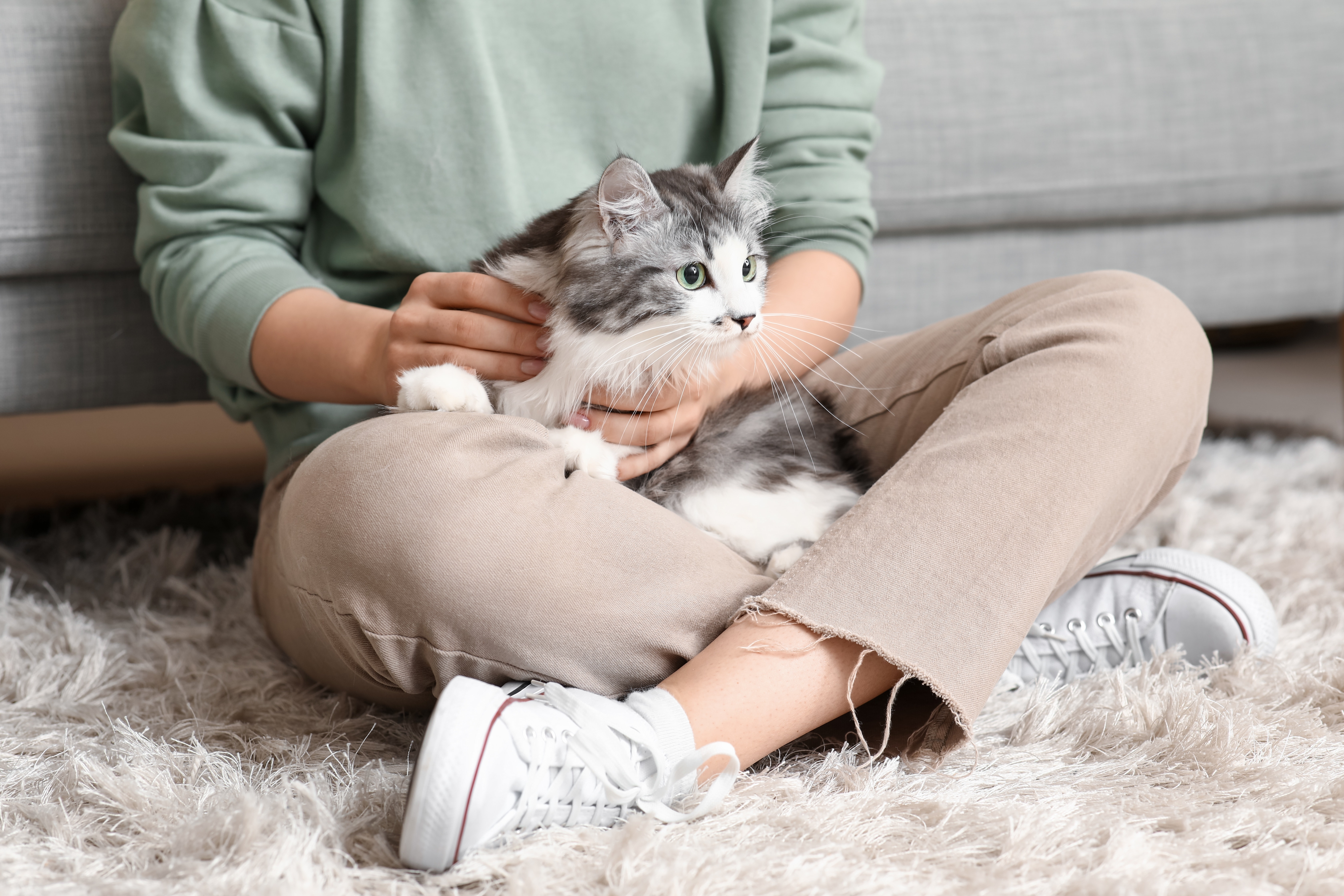 WHIS_15_COMOSABERSIESGATOOGATA