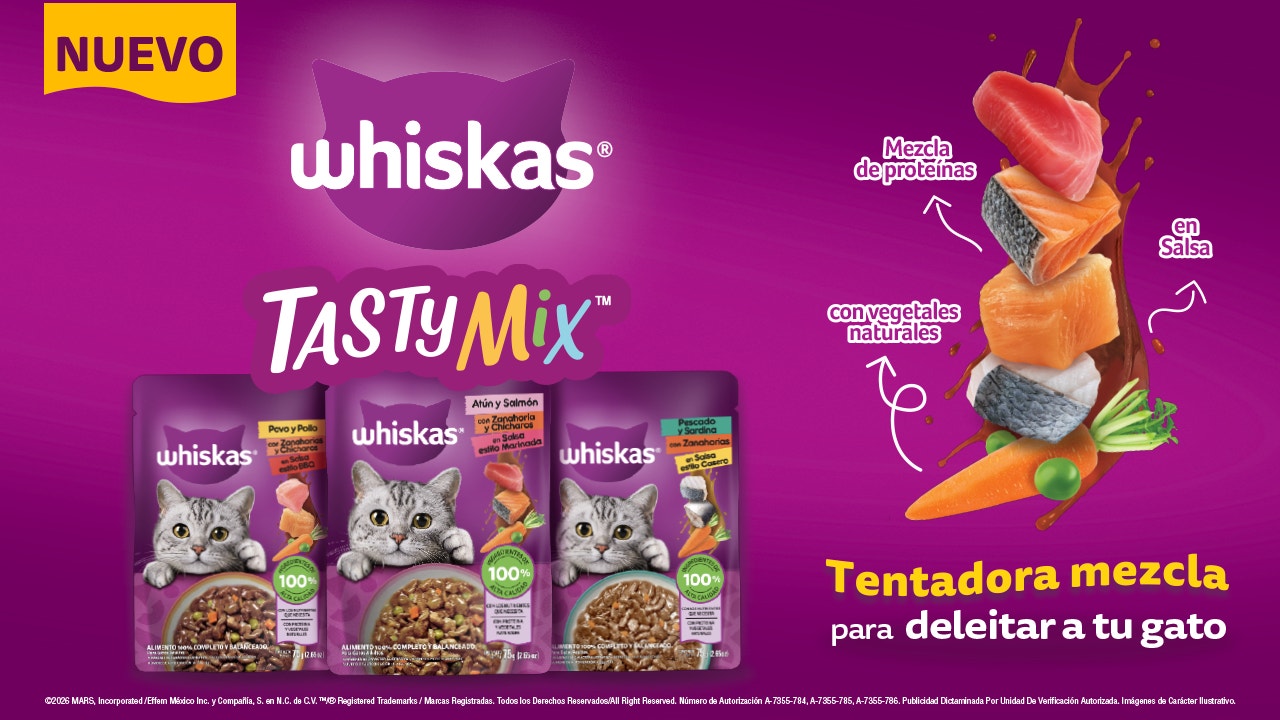 Nuevos Fillets