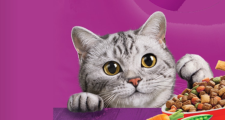 Gato junto a un plato de croquetas WHISKAS® 4 en 1 con carne y vegetales, alimento completo con cuatro beneficio