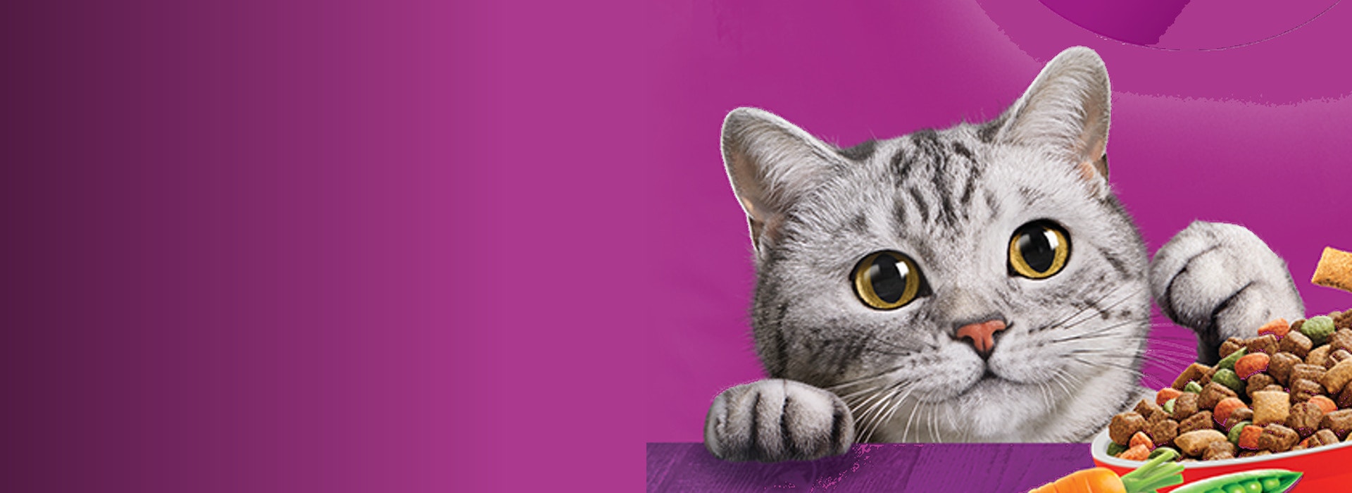 Gato mirando un plato de croquetas WHISKAS® 4 en 1 con control de minerales para apoyar la salud del tracto urinario
