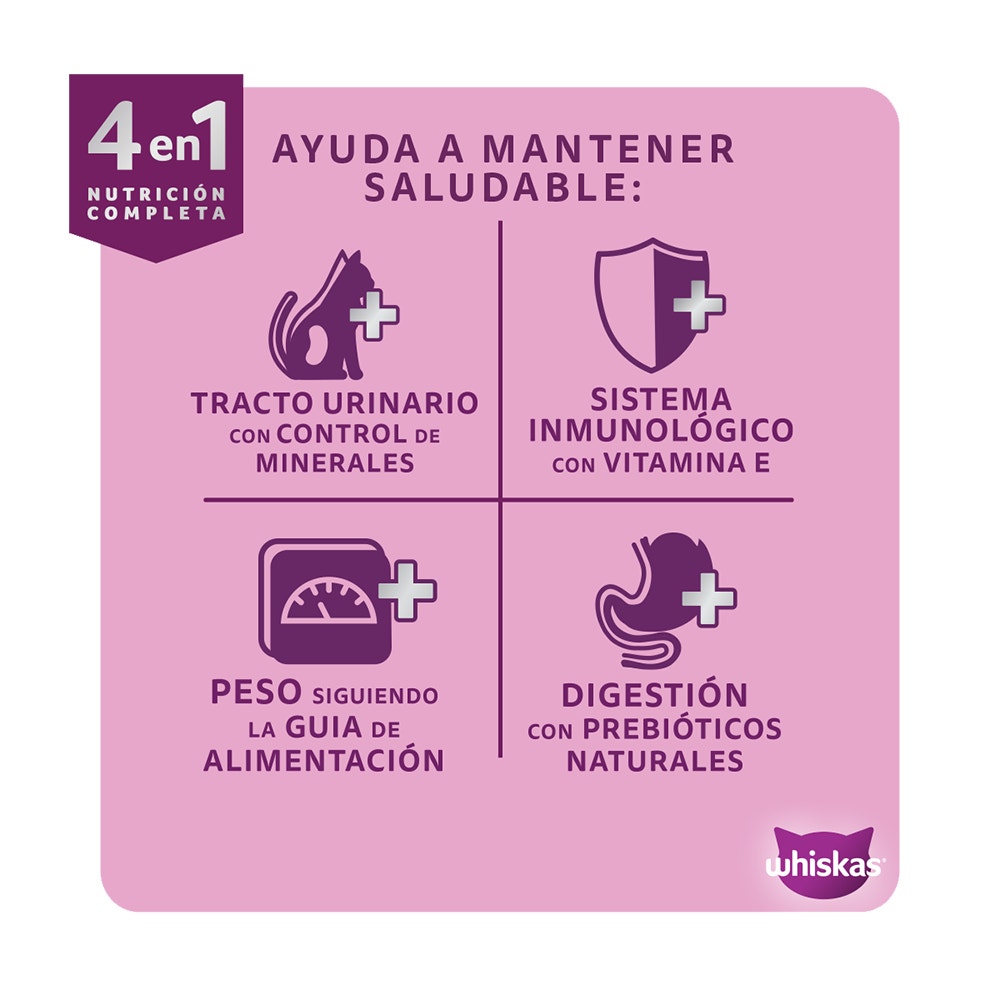 Alimento Seco para Gatos Adultos Esterilizados Whiskas® 4 en 1: Nutrición Completa y Balanceada Sabor Carne - 5