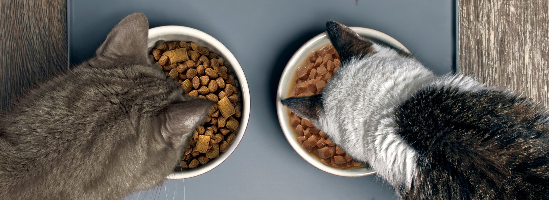 MixFeeding