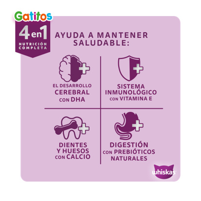 WHISKAS® 4 en 1 nutrición completa con cuatro beneficios para gatitos: desarrollo cerebral, inmunidad, huesos y digestión
