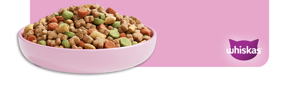 Croquetas WHISKAS® 4 en 1 en un
recipiente rosa para la nutrición diaria
del gato